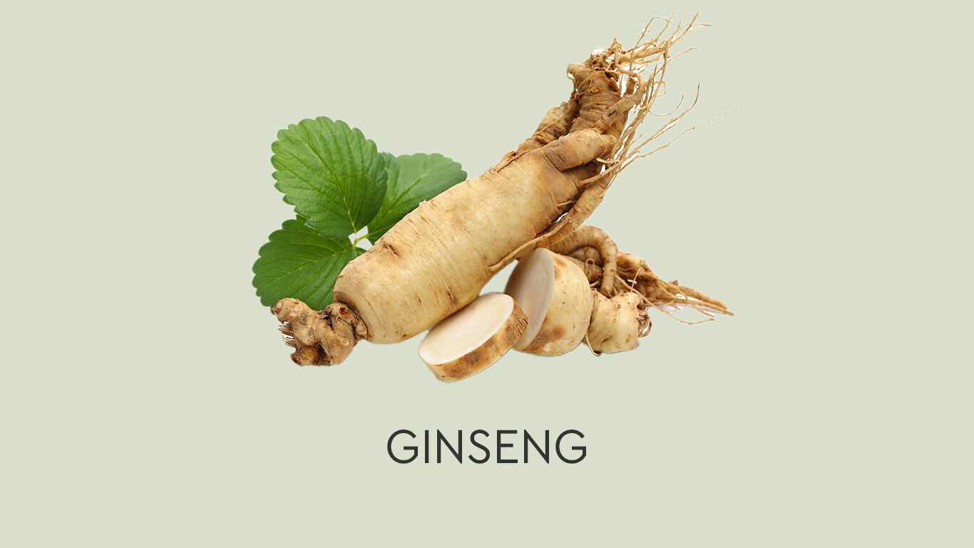 Image de ginseng sur un fond vert avec la l&eacute;gende : GINSENG.